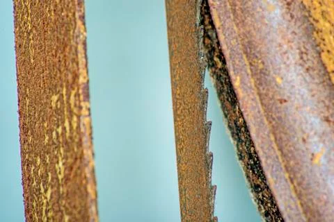 Old saw Stock Photos