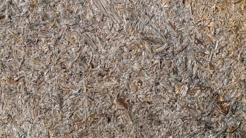 Old sawdust texture background Stock Footage 71966021