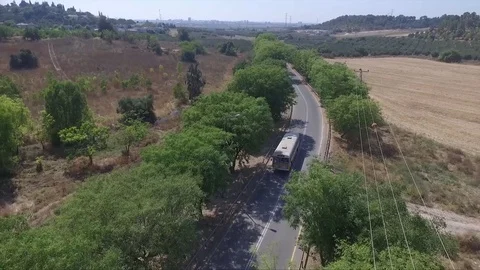 Old School Bus goes to school through the forest, 4K Stock Footage 71479112