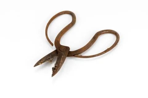 Old scissors full of rust 写真素材