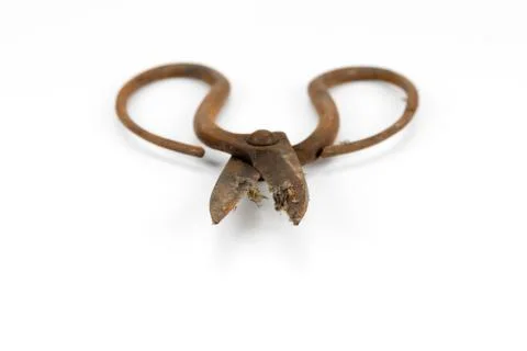 Old scissors full of rust Stock Photos