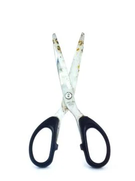 Old scissors isolate Stock Photos