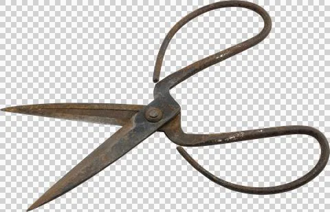Old scissors Isolated Stock Photos
