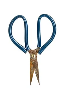 Old scissors isolated on white background. Stock Photos