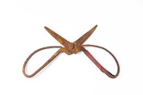 Old scissors isolated on white Stock Photos