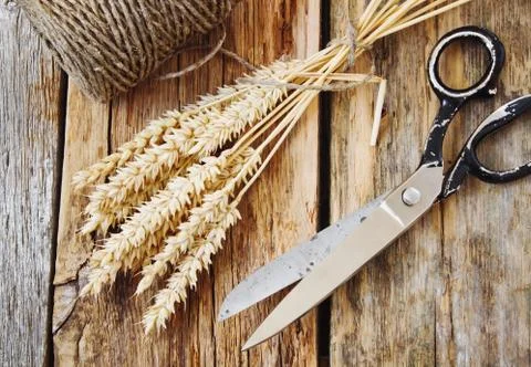 Old scissors Stock Photos