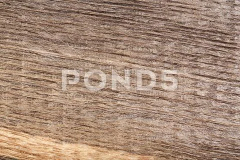 Old scratched wood bog oak . Texture. Stock Photos