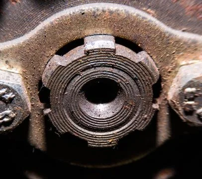 Old screw Stock Photos