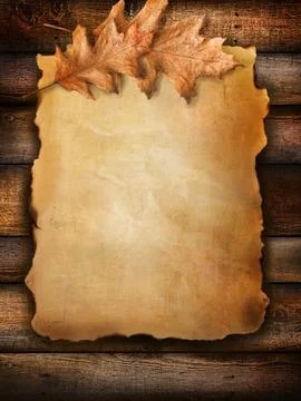 Old scroll paper with oak leaves on wood Stock Photos