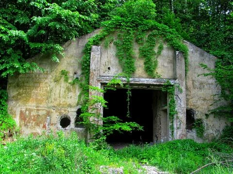 Old seed warehouse in forestry in spring Stock Photos
