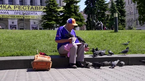 Old senior man sitting on footpath and feeding pigeons Stock Footage 197383765