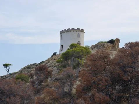 Old sentinel structure surrounded by charred plant life Stock Photos
