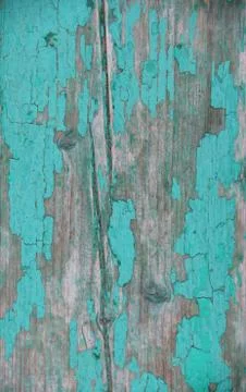 An old, shabby green tree with cracks, stains of peeling paint Stock Photos