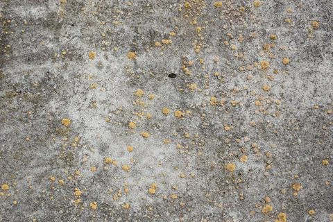 Old, shabby, stone texture Stock Photos