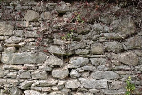 Old shabby wall Stock Photos