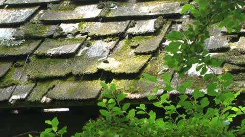 Old shake shingle roof Stock Footage 24805621