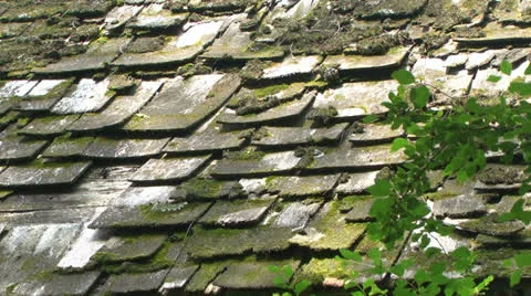 Old shake shingle roof - wider shot Stock Footage 24805498
