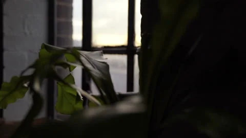 Old Shareditch Window 1 Stock Footage 132342932