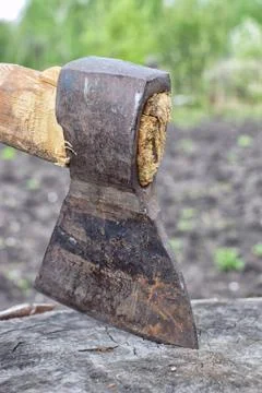 Old sharp ax wooden handle stump close-up Stock Photos