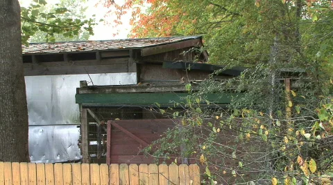 Old Shed Video stock 273118
