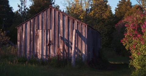 Old Shed In Woods Static Stock Footage 71326036