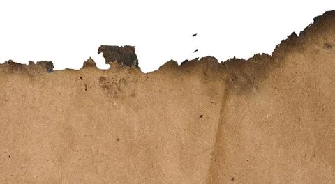 An old sheet of thick brown paper with a jagged, burnt edge and traces of s.. Stock Photos
