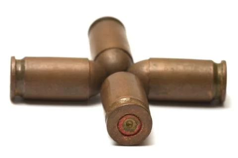 Old shells. Stock Photos