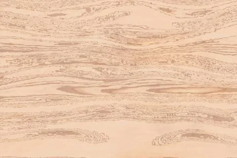 Old shiny plain cut larch wood varnished  texture background Stock Illustration