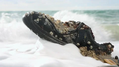 An old Shoe covered with shells lies on the seashore. Close up. Stock Footage 146136420