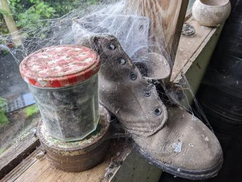 Old Shoe Stock Photos