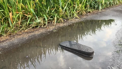 Old shoe in a puddle next to the grass Stock Footage 240580663