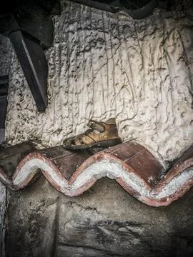 Old Shoe on a Wall Foto stock