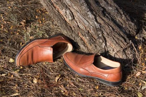 Old shoes in the fall Stock Photos