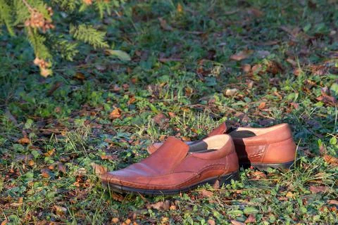 Old shoes in fall Stock Photos