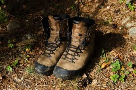 Old shoes on a pine needles Stock Photos