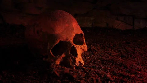 Old Skull On The Ground In Fire Glow Stock Footage 299047150