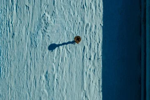 An old, slightly rusty self-tapping screw is screwed into a textured wooden w 写真素材