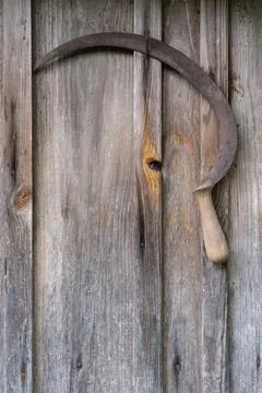 An old, slightly rusty sickle hangs on a gray textured wall. Vintage things.. Фото
