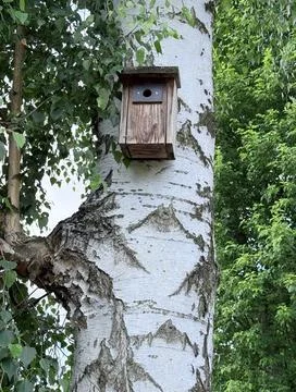 An old small birdhouse using shallow depth of field and selective focus on an Foto stock