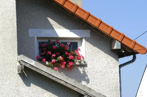 Old small house Fotos Stock