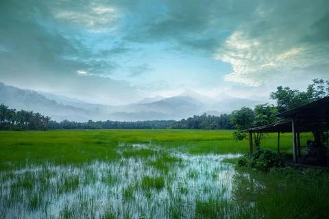 An old small hut in a grass field - Village photography Stock Photos