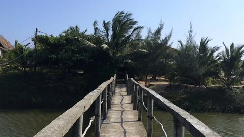 Old small stone bridge over a small river leading to the coconut palms Video stock 71609093