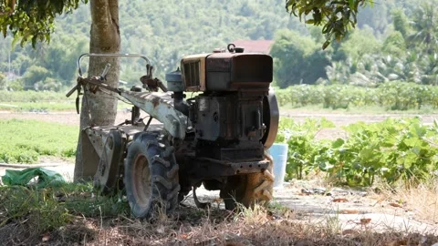 Old small tractor stands in a farm field by a tree, with green rows and hills in Stock Footage 341408731