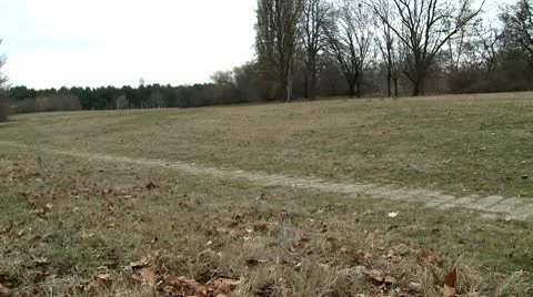 Old small walking path 4 Stock Footage 10678513
