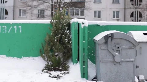An old snow-covered Christmas tree lies in a trash heap in the city. Concept of Stock Footage 293684283