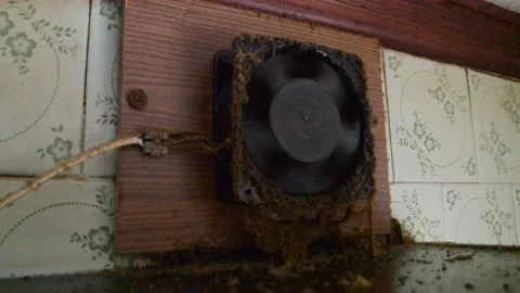 Old socket for connecting the electrical plug of the equipment Stock Footage 154096302