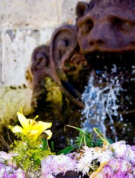 Old source with doves Stock Photos