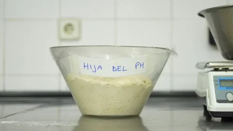 Old sourdough resting on a table in a bakery Stock Footage 251324373