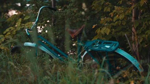 An old Soviet blue bicycle lies in the thick grass Stock Photos