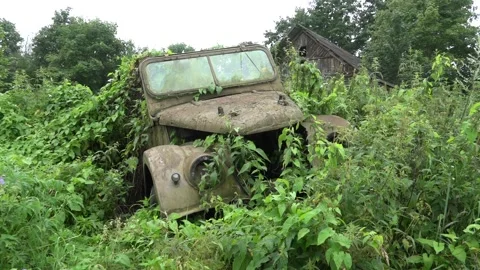 Old Soviet Car rusting in the wilderness Stock Footage 239608833